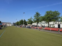 Hibernia Cup